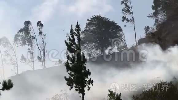 森林火灾视频