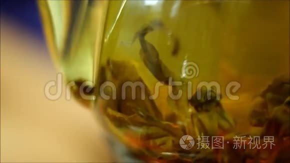 绿茶在透明茶壶里露出叶子视频