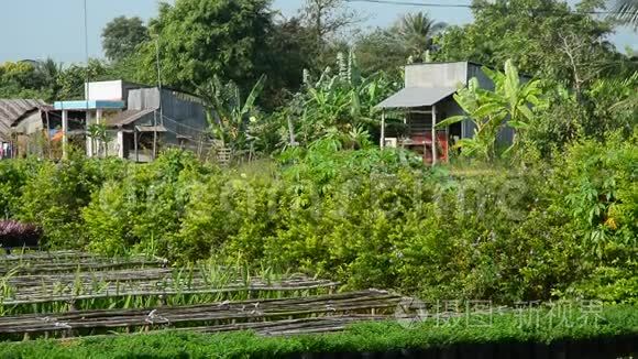 越南河内小村庄的乡村景象视频
