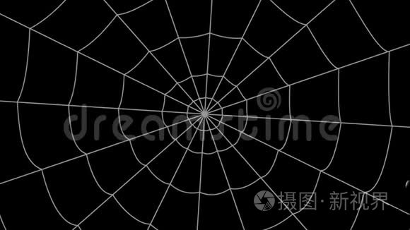 黑色背景上的同心蜘蛛网，蜘蛛爬向中心