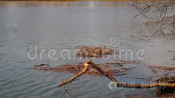 涨潮时水淹沼泽，高动态范围成像