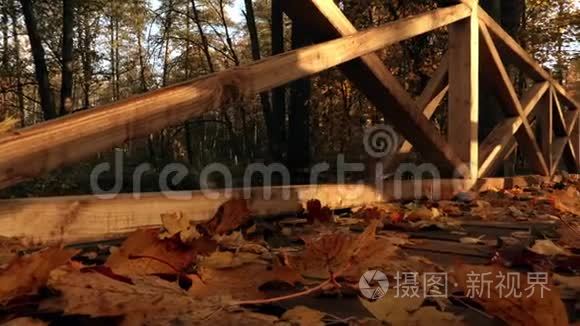 秋天的木桥伴着阳光视频