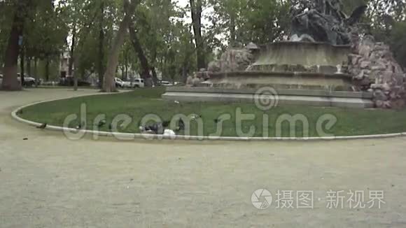 智利圣地亚哥喷泉视频