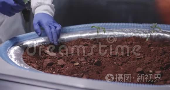 科学家在火星基地种植幼苗