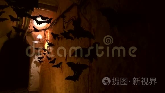 万圣节装饰品的装饰蝙蝠背景视频