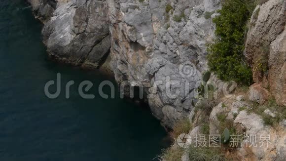 客栈老板在岩石上进入海鸥视频