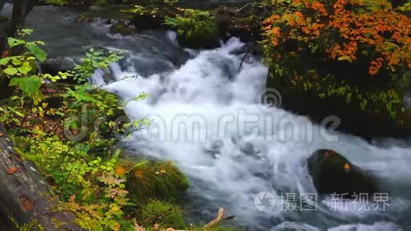 美丽的奥拉西河在秋天的季节在奥拉西峡。