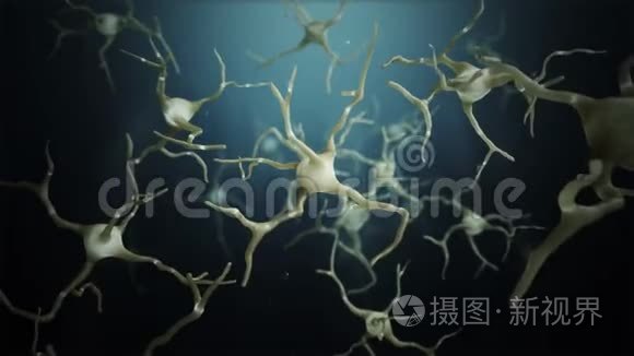 环神经元细胞连接世界视频