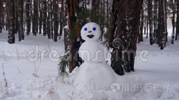 松林中的雪人站在户外