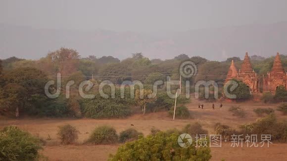 缅甸巴甘王国的许多寺庙视频