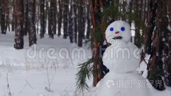 松林中的雪人站在户外