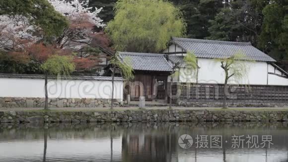 日本野鸡堡樱花樱花盛开季节视频