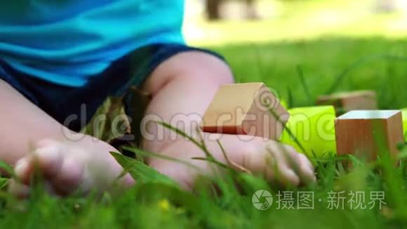 宝宝在草地上玩积木视频