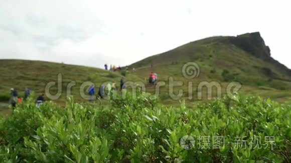 冰岛的吉普车野生动物园视频