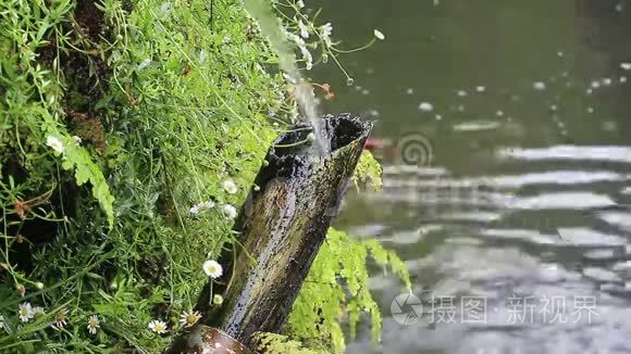 日本园林中的竹筒和流水视频