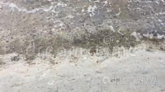 地中海石灰石岩架上的光波视频