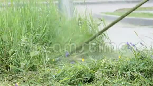 园丁在户外用割草机割草视频