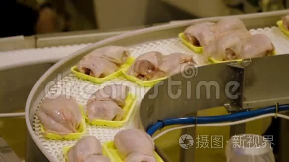 生产过程中的禽肉视频
