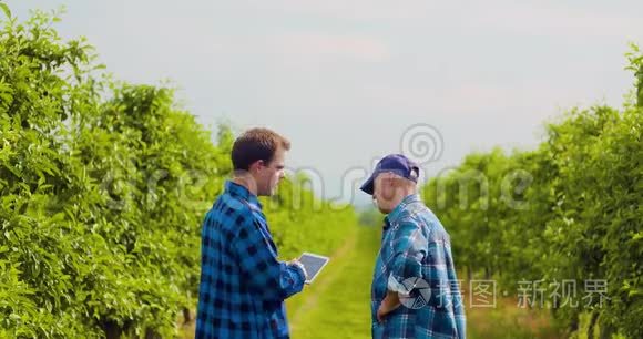 农民用数字平板检测同事的叶片