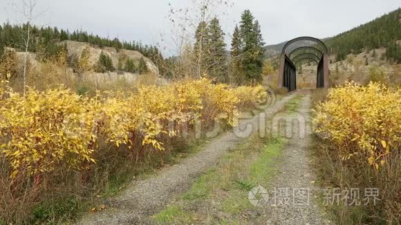 尼古拉河壶谷铁路大桥视频