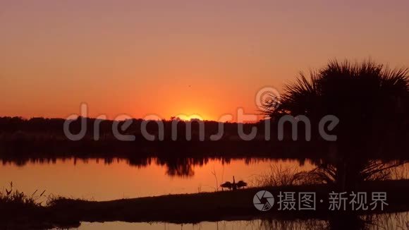 佛罗里达湿地的日落视频
