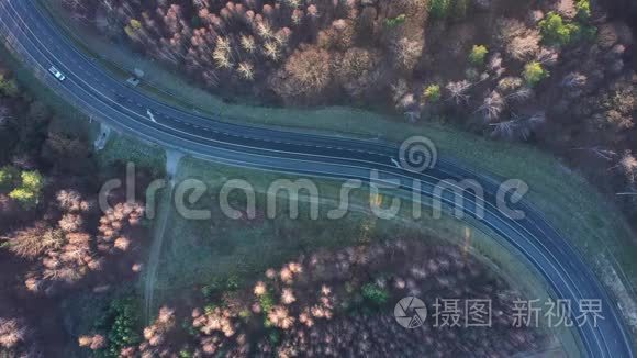 从车的高度看秋林环绕的道路