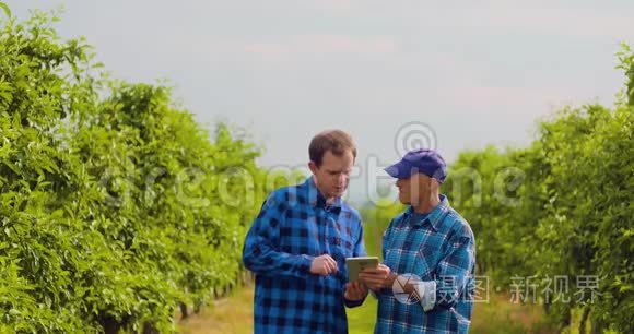 农民用数字平板检测同事的叶片视频