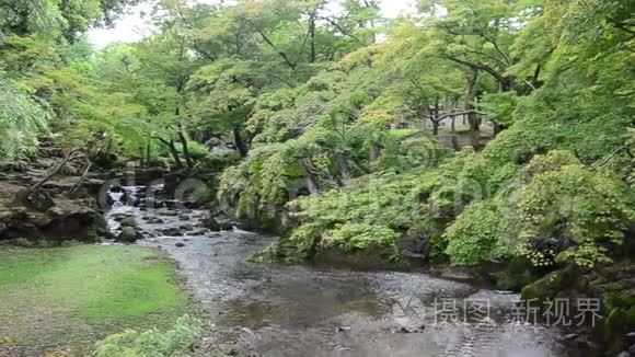 日本奈良土代寺花园内的瀑布视频