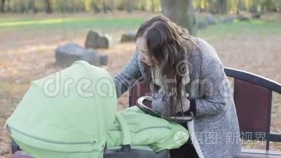 年轻的母亲带着婴儿车在公园里散步。