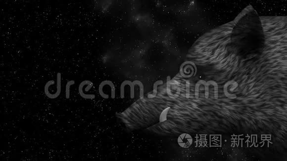 星空背景动画上的野猪视频