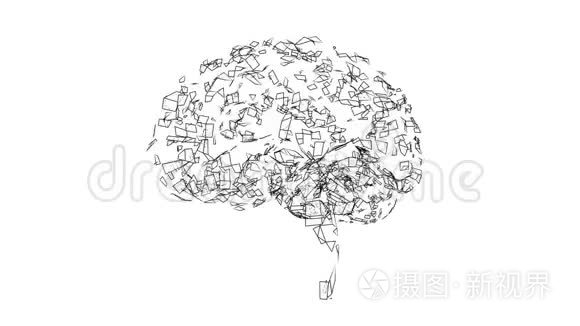 数字线条创造了人类的大脑形状视频