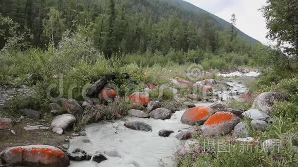 俄罗斯阿尔泰山脉的阿克肯河视频