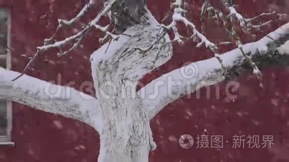 冬村的暴风雪.