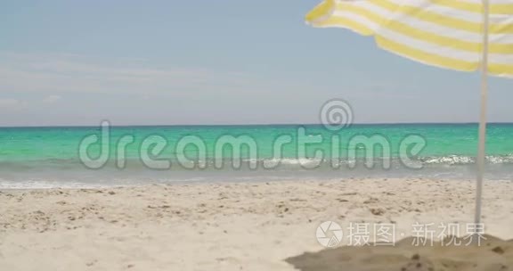 阳光明媚的热带海滩上的沙滩伞视频