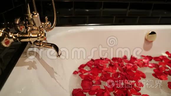 水和红玫瑰花瓣的黑浴池视频