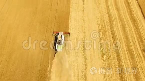 空中观景结合收割机收割小麦