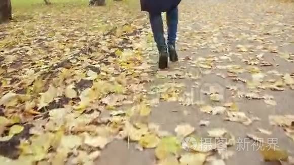 穿过树叶的女人。 秋天公园