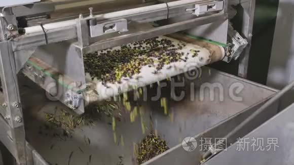 一家橄榄油工厂的现代传送带视频