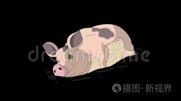 大黄粉猪睡阿尔法哑光短视频