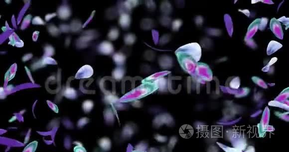 漩涡飞紫蓝兰花花瓣背景阿尔法哑光环4k