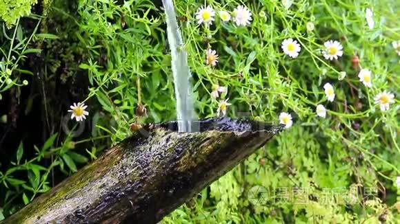 日本园林中的竹筒和流水视频