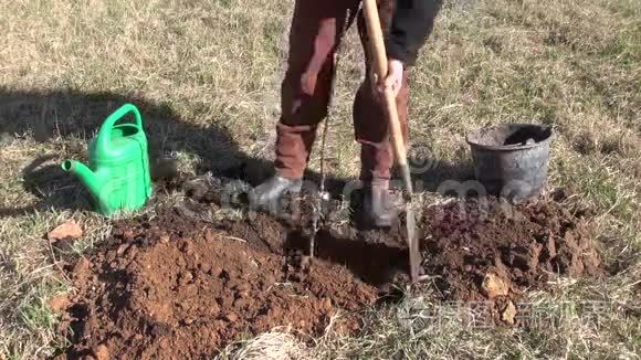 农场果园工人种植苹果树芽视频