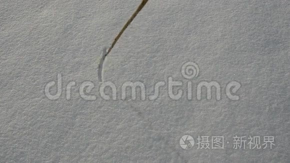 在清新的冬雪上写单词视频