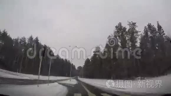 森林公路快速行驶视频