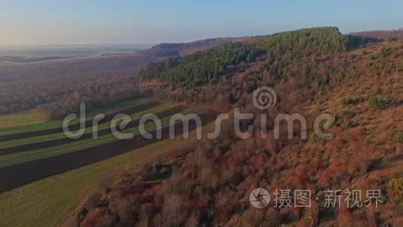 秋天田野和森林的空中景色