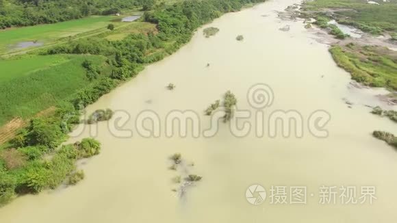 在安静的黑暗河岸边种植的水稻和玉米。