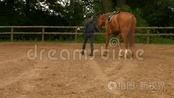 女人牵着她的马在围场视频