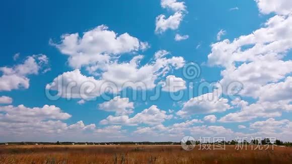 夏季野外景观视频