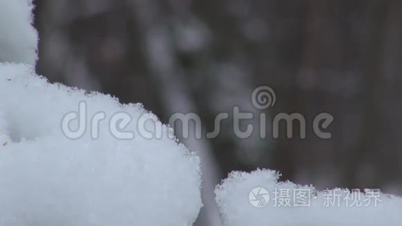 降雪时的积雪覆盖着雪花视频