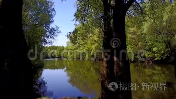 飞越Seim河，乌克兰被树木包围-空中录像